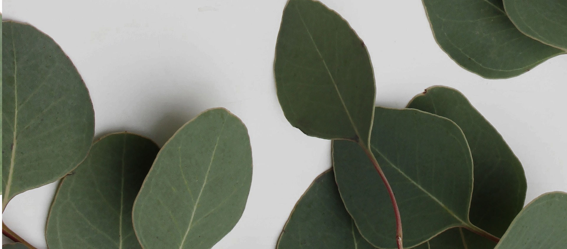 Взыскание ущерба от экологических правонарушений в Баймаке