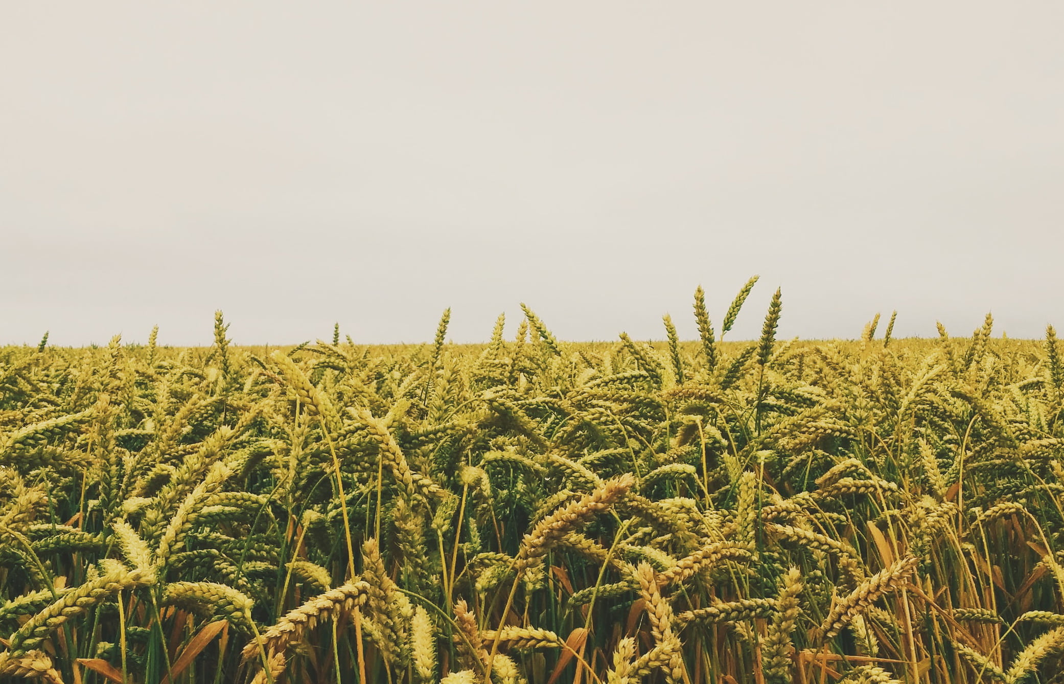Юрист по земельным спорам в Баймаке. Услуги земельного юриста.